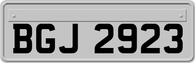 BGJ2923