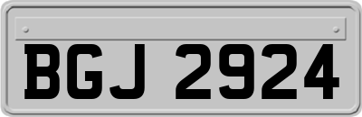 BGJ2924