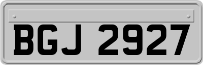 BGJ2927