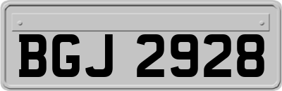 BGJ2928