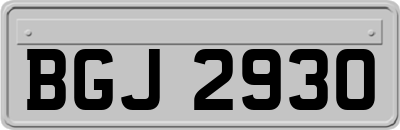BGJ2930
