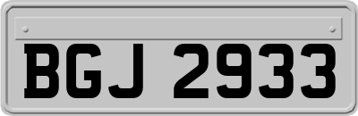 BGJ2933
