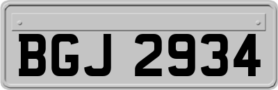 BGJ2934