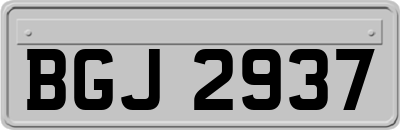 BGJ2937