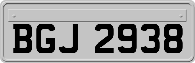 BGJ2938