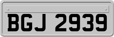 BGJ2939