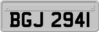 BGJ2941