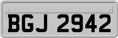 BGJ2942
