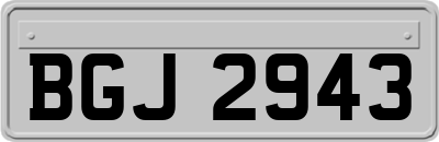 BGJ2943