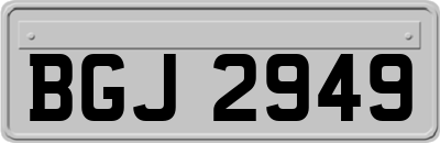 BGJ2949