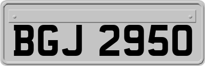 BGJ2950
