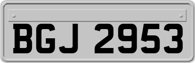 BGJ2953