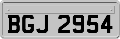 BGJ2954