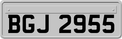 BGJ2955