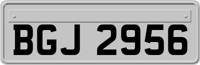 BGJ2956