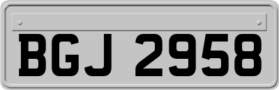 BGJ2958