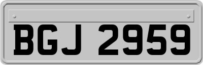 BGJ2959