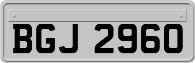 BGJ2960