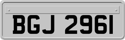 BGJ2961