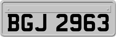 BGJ2963