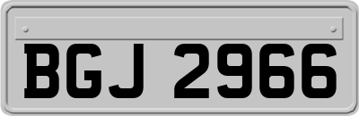 BGJ2966
