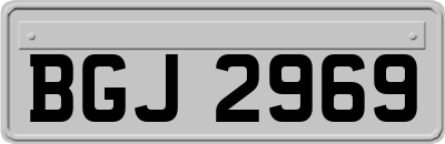 BGJ2969