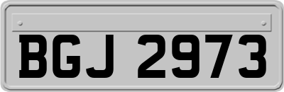 BGJ2973