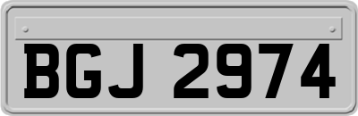 BGJ2974