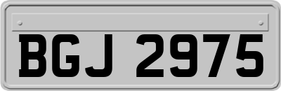 BGJ2975