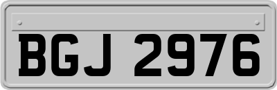 BGJ2976