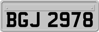 BGJ2978