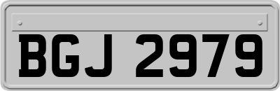 BGJ2979