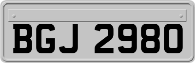 BGJ2980
