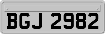 BGJ2982