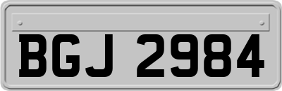 BGJ2984