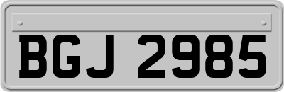 BGJ2985