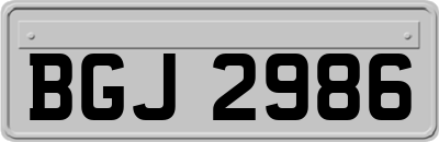 BGJ2986
