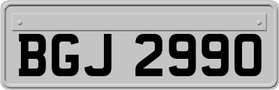 BGJ2990