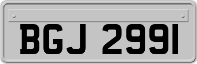 BGJ2991