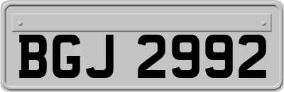 BGJ2992
