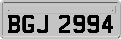 BGJ2994