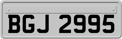 BGJ2995