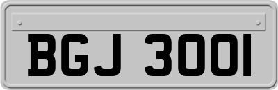 BGJ3001