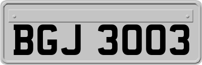 BGJ3003