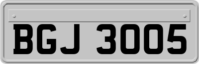 BGJ3005