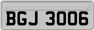 BGJ3006