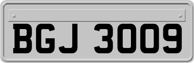 BGJ3009