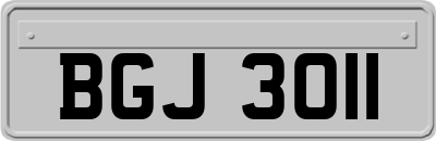 BGJ3011