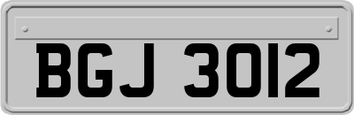 BGJ3012