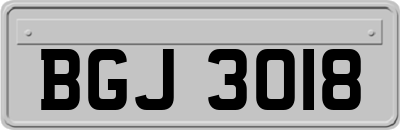 BGJ3018